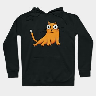 orange cat Hoodie